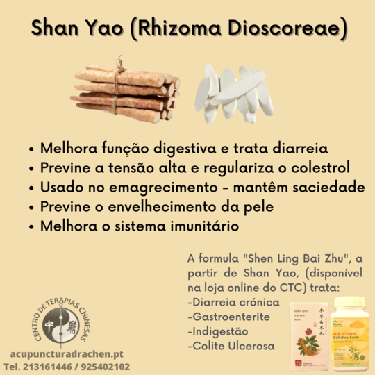 Shan Yao (Dioscorea  Dioscoreae)